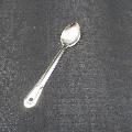 SERVING SPOON SLOTTED LONG HANDLE SS